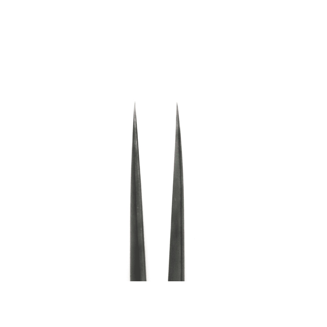 BLACK STRAIGHT ISOLATION TWEEZERS