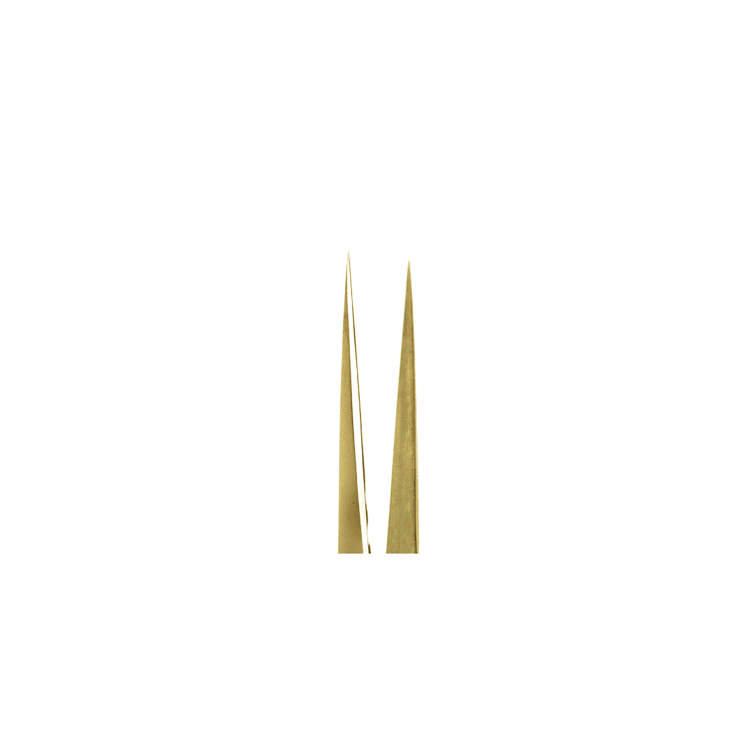 GOLD STRAIGHT ISOLATION TWEEZER